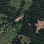 Die Lage von Teer- oder Pechofen im Orthofoto