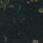 Die Lage von Mengshäuser Kuppe im Orthofoto