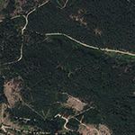 Die Lage von Pfaffenwald im Orthofoto