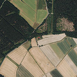 Die Lage von Im Forst im Orthofoto