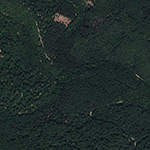 Die Lage von Teer- oder Pechhütte im Orthofoto