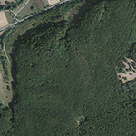 Die Lage von Ringwall im Orthofoto