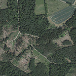 Die Lage von Gershausen im Orthofoto