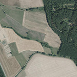Die Lage von Bensdorf im Orthofoto