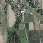 Die Lage von Forsthaus im Orthofoto