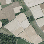 Die Lage von Elveringhausen (Alershausen) im Orthofoto