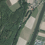 Die Lage von Onkel Palm\
