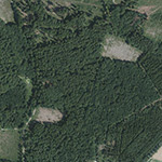 Die Lage von Oberförsterei Hofgeismar im Orthofoto