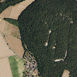 Die Lage von Eichen im Orthofoto