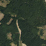 Die Lage von Eichen im Orthofoto