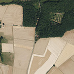 Die Lage von Forsthaus Kornberg im Orthofoto