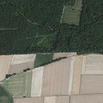 Die Lage von Fasanenhof im Orthofoto