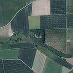 Die Lage von Forkenburg im Orthofoto