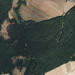 Die Lage von Brandsrode im Orthofoto