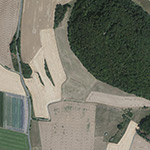 Die Lage von Odenhausen im Orthofoto