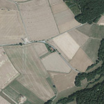 Die Lage von Forsthaus im Orthofoto