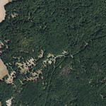 Die Lage von Wildpark Knüll im Orthofoto