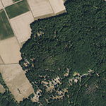Die Lage von Streutlingskopf im Orthofoto