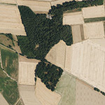 Die Lage von Blasserod im Orthofoto