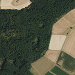 Die Lage von Wickenrod im Orthofoto