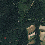 Die Lage von Wildsberg im Orthofoto