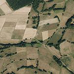 Die Lage von Eckenrode im Orthofoto