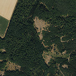 Die Lage von Ellenrode im Orthofoto