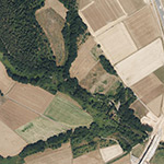 Die Lage von Biedenbach im Orthofoto