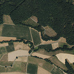 Die Lage von Buchholz im Orthofoto