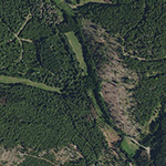 Die Lage von Rupertshausen im Orthofoto