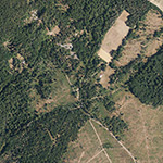 Die Lage von Schieferbruch im Orthofoto