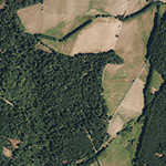 Die Lage von Elshausen im Orthofoto