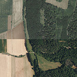 Die Lage von Fronhausen im Orthofoto