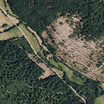Die Lage von Hetscholds Mühle im Orthofoto