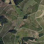 Die Lage von Heiligenholz im Orthofoto