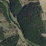 Die Lage von Linsphe im Orthofoto