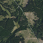 Die Lage von Forst (An Der Nemphe) im Orthofoto