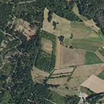 Die Lage von Altedorf im Orthofoto