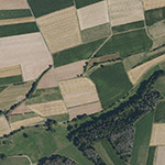 Die Lage von Freiemark im Orthofoto