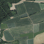Die Lage von Hessinghausen im Orthofoto