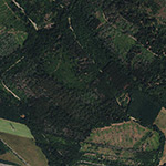 Die Lage von Wulzburg im Orthofoto
