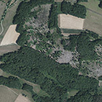 Die Lage von Suckenrode im Orthofoto