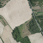 Die Lage von Bremerode im Orthofoto