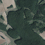 Die Lage von Burgberg (Burghofen) im Orthofoto