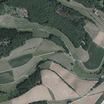 Die Lage von Mühlenrode im Orthofoto