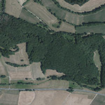 Die Lage von Todenrode im Orthofoto