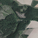 Die Lage von Forsthaus Fischbach im Orthofoto