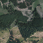 Die Lage von Glashütte im Orthofoto