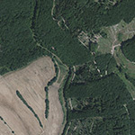 Die Lage von Wolfsthal im Orthofoto