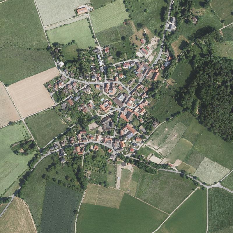 Die Lage von Neutsch im Orthofoto